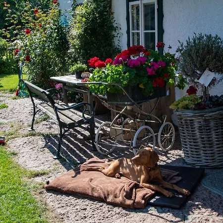 Melchambauer Maria Alm am Steinernen Meer