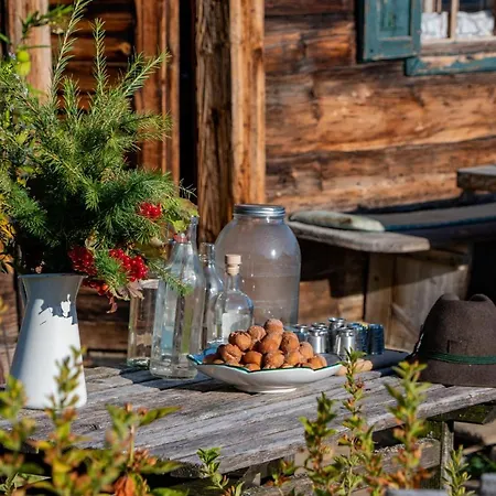 Daire Melchambauer Maria Alm am Steinernen Meer