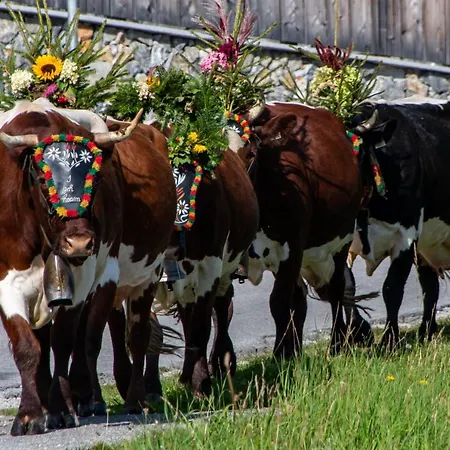Melchambauer Maria Alm am Steinernen Meer