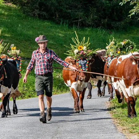 Melchambauer Daire *