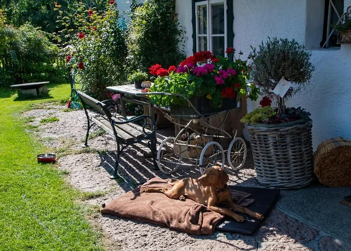 Melchambauer Maria Alm am Steinernen Meer