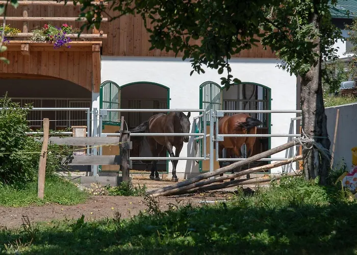 Melchambauer Апартаменты