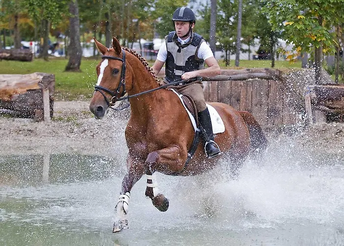 Apartamento Melchambauer Maria Alm am Steinernen Meer
