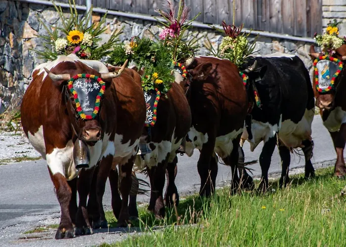Melchambauer Maria Alm am Steinernen Meer