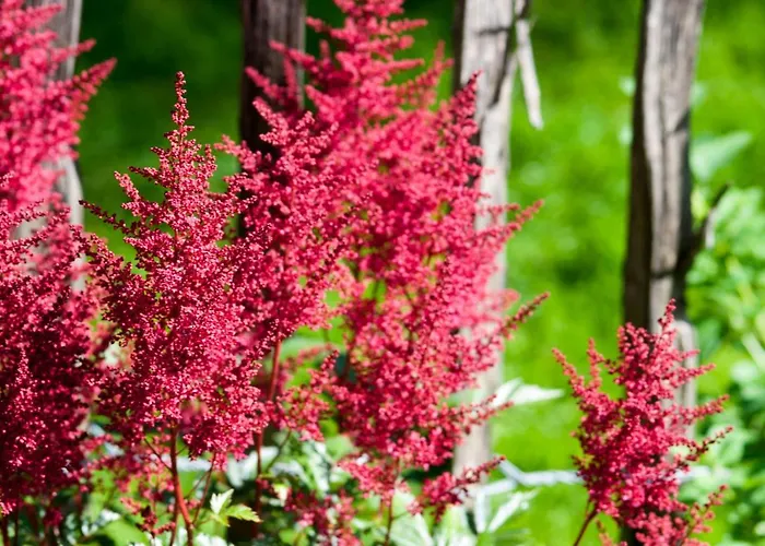 Melchambauer Апартаменты Мариа-Альм