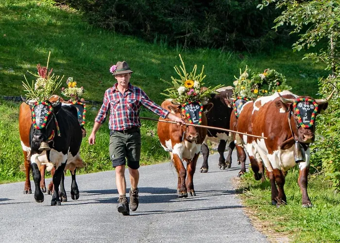 Melchambauer Апартаменты *