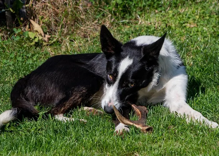 Апартаменты Melchambauer